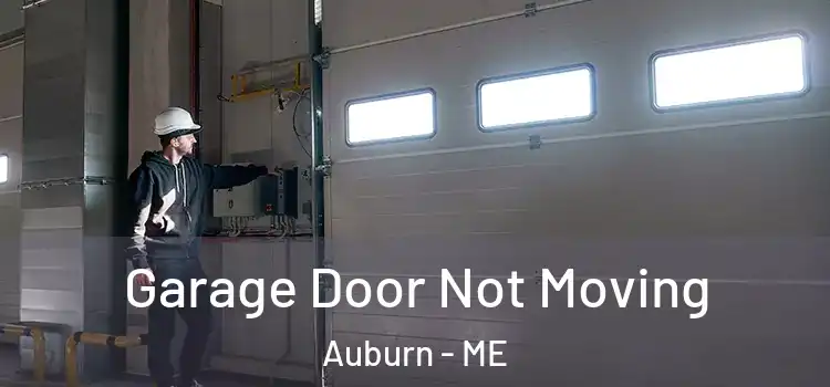  Garage Door Not Moving Auburn - ME