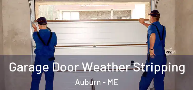  Garage Door Weather Stripping Auburn - ME